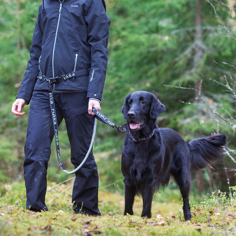 Rukka Pets providing America with the high performance Dog Training Gear for Dog hobbyists and professionals. Rukka Pets US