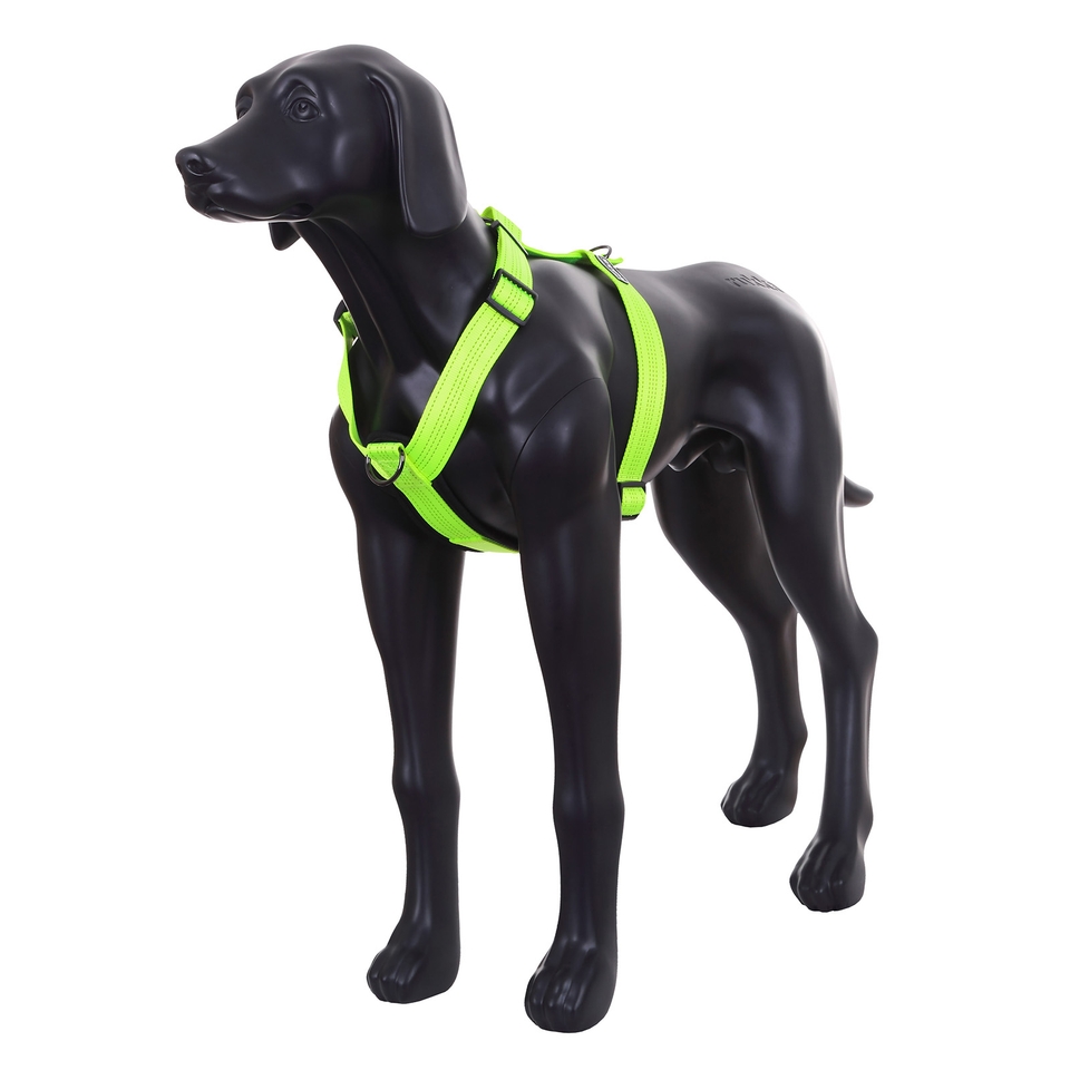 Form Neon Harness - Yellow