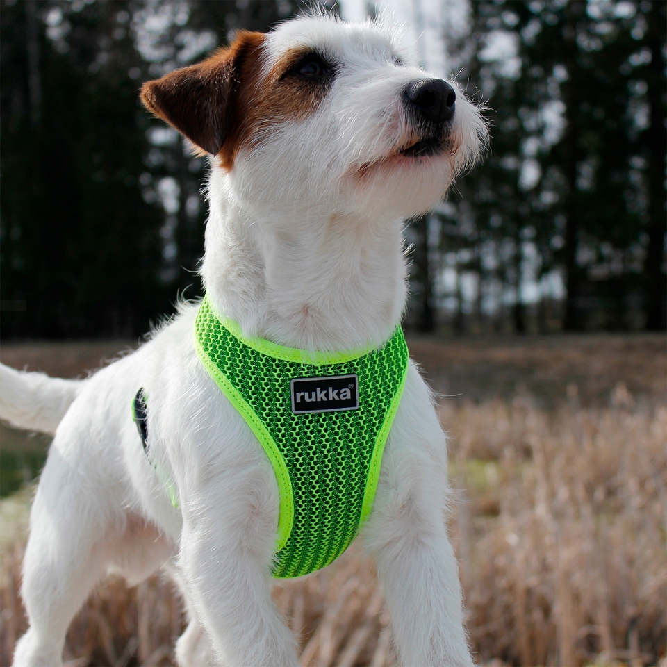 Comfort Air Harness - Yellow