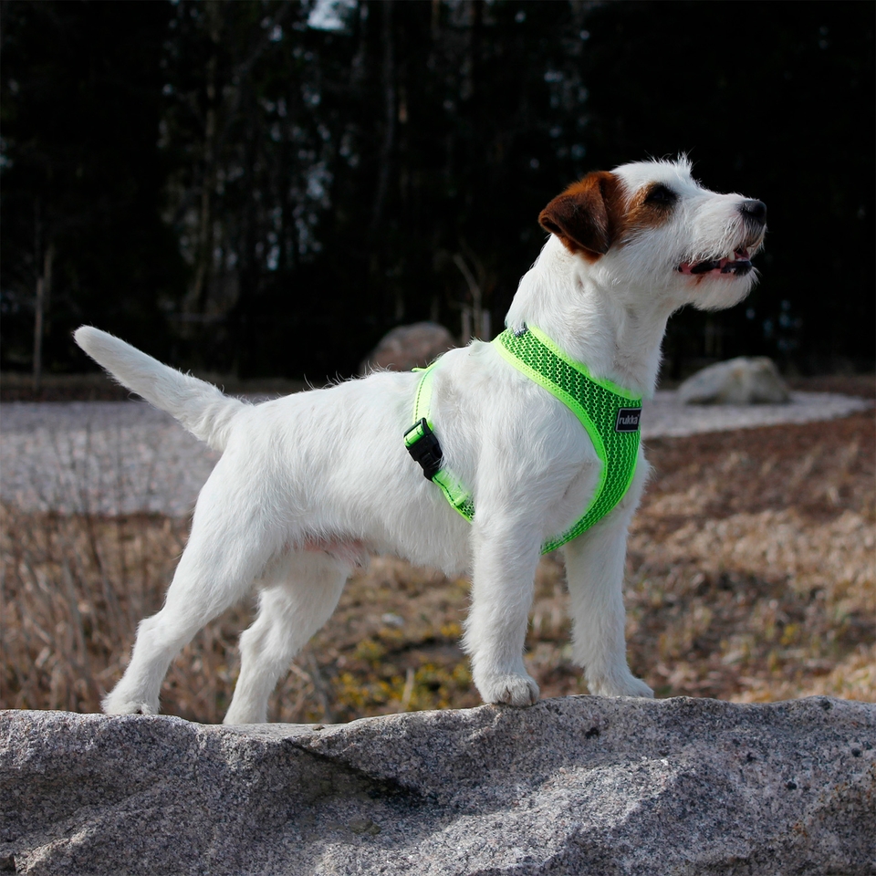 Comfort Air Harness - Yellow
