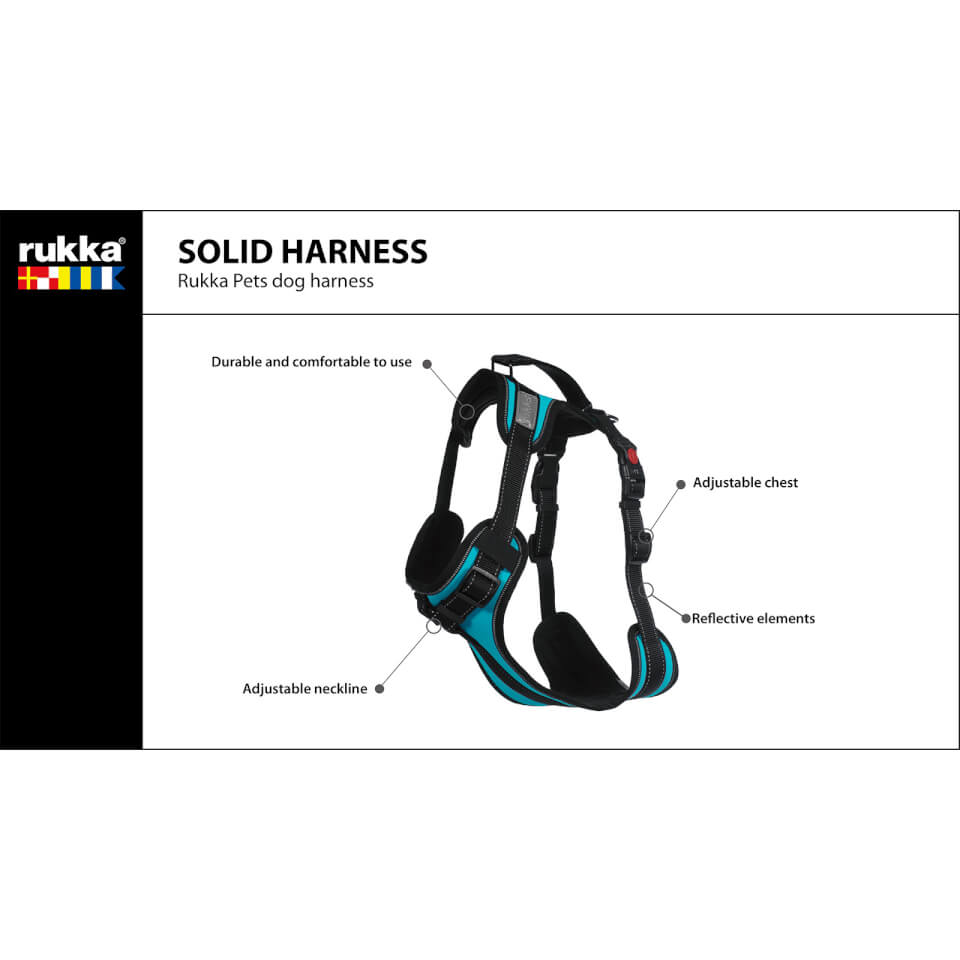 Solid Harness - Turquoise