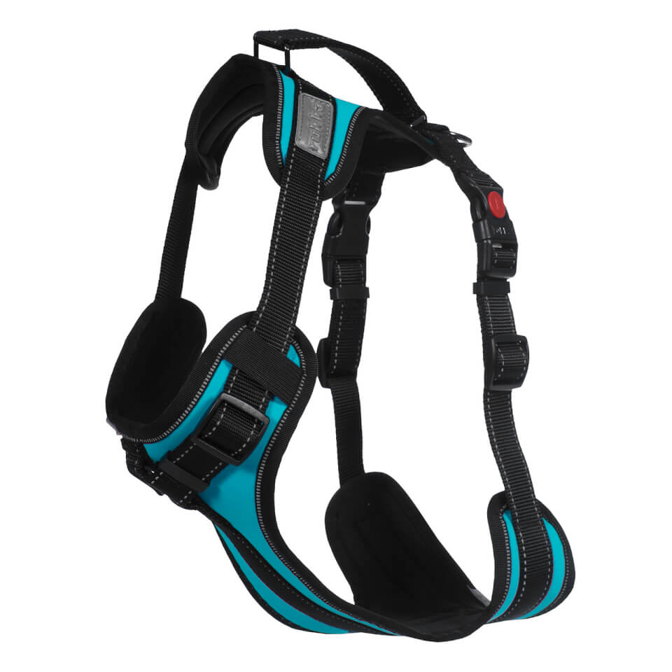 Solid Harness - Turquoise