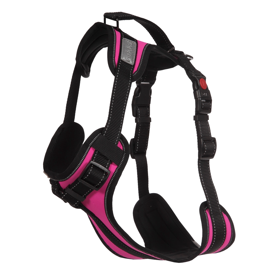 Solid Harness - Raspberry