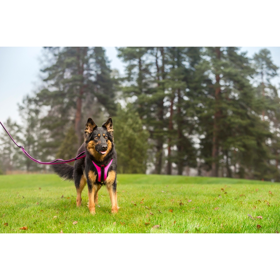 Solid Harness - Raspberry