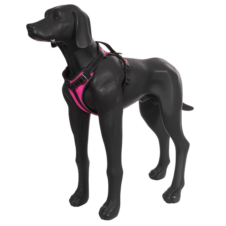 Solid Harness - Raspberry