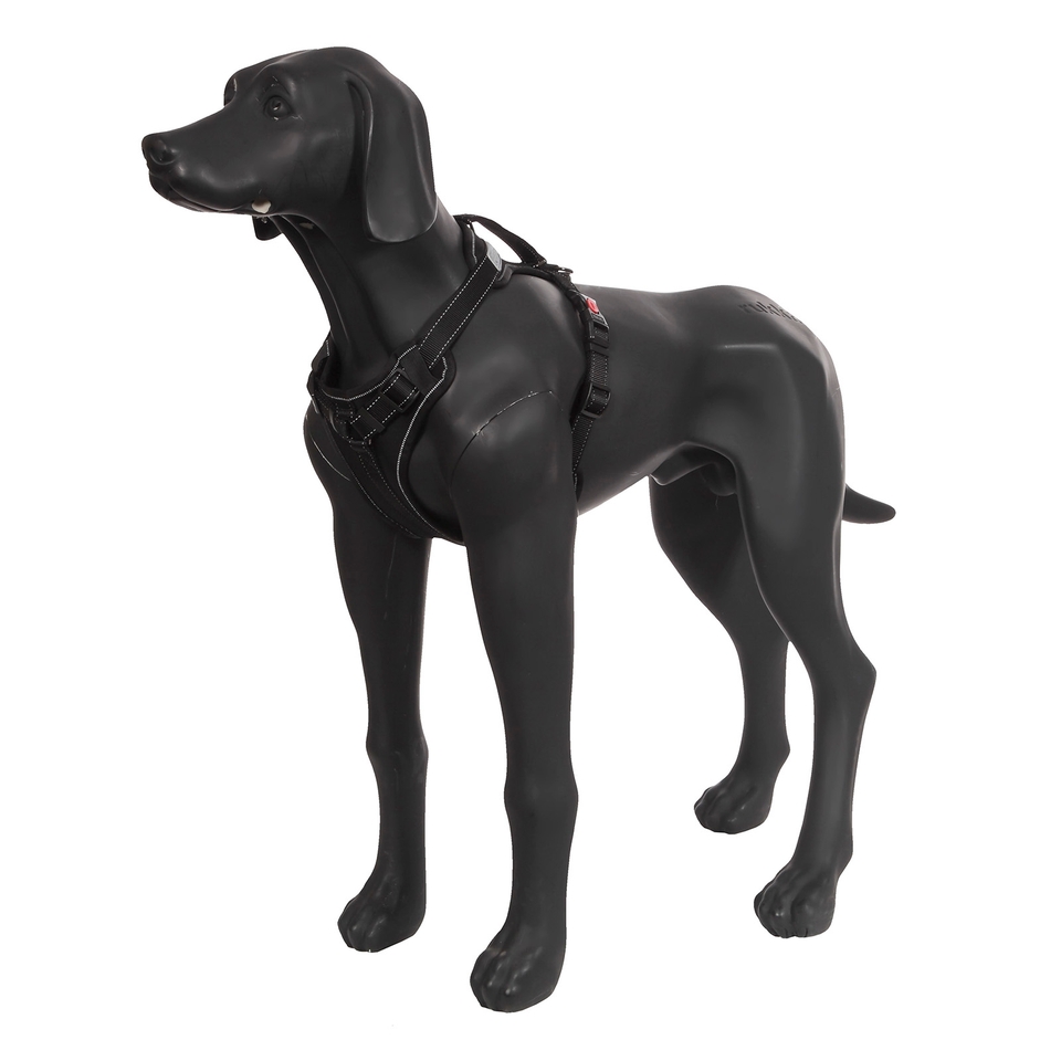 Solid Harness - Black