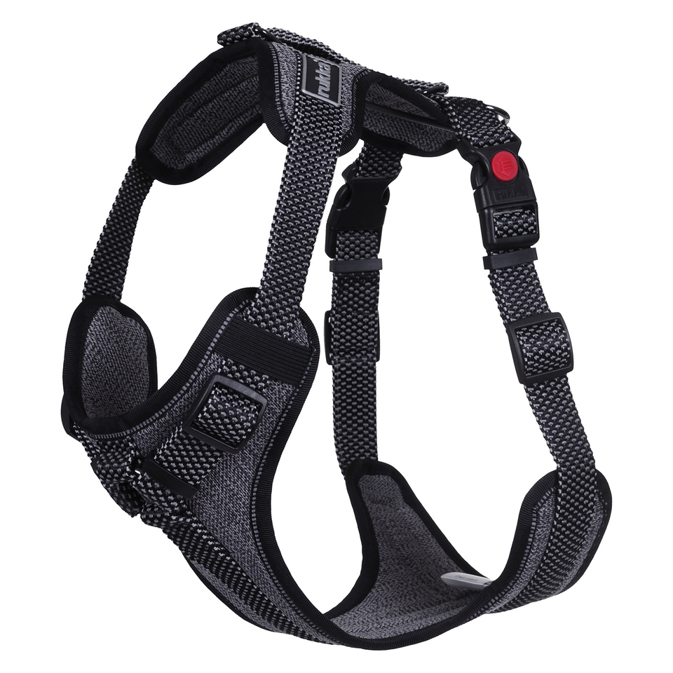 Star Harness - Black