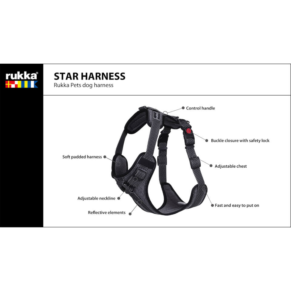 Star Harness - Black
