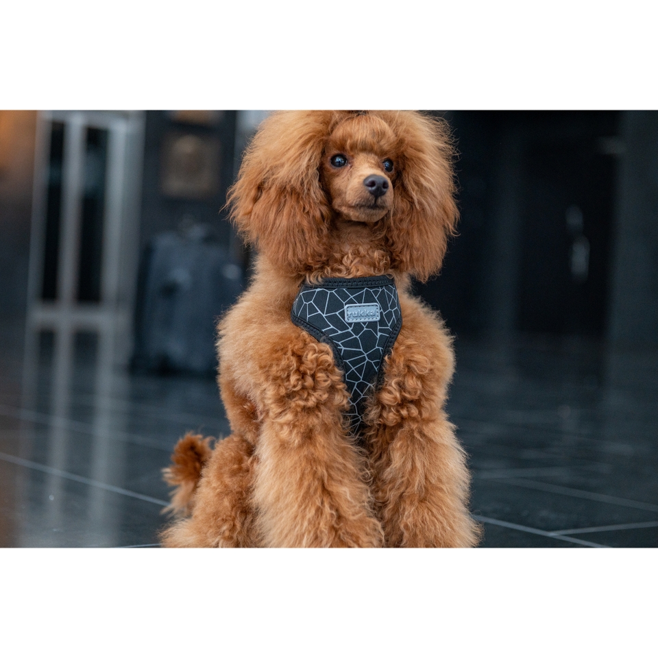 Cube Mini Harness - Classic Red
