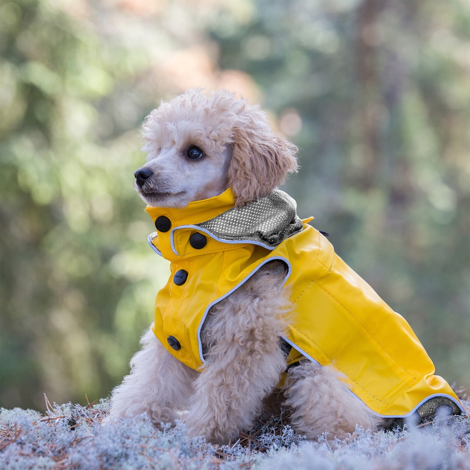 Stream Raincoat - Yellow