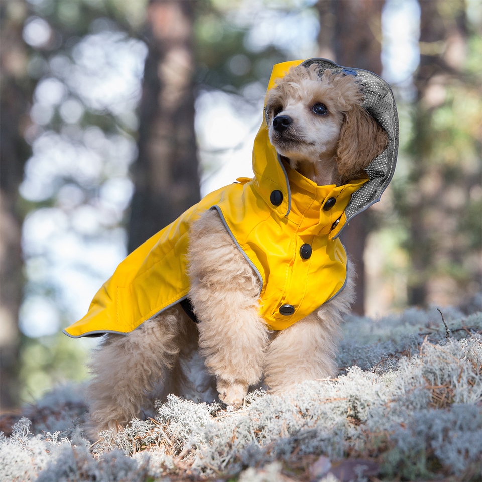 Stream Raincoat - Yellow