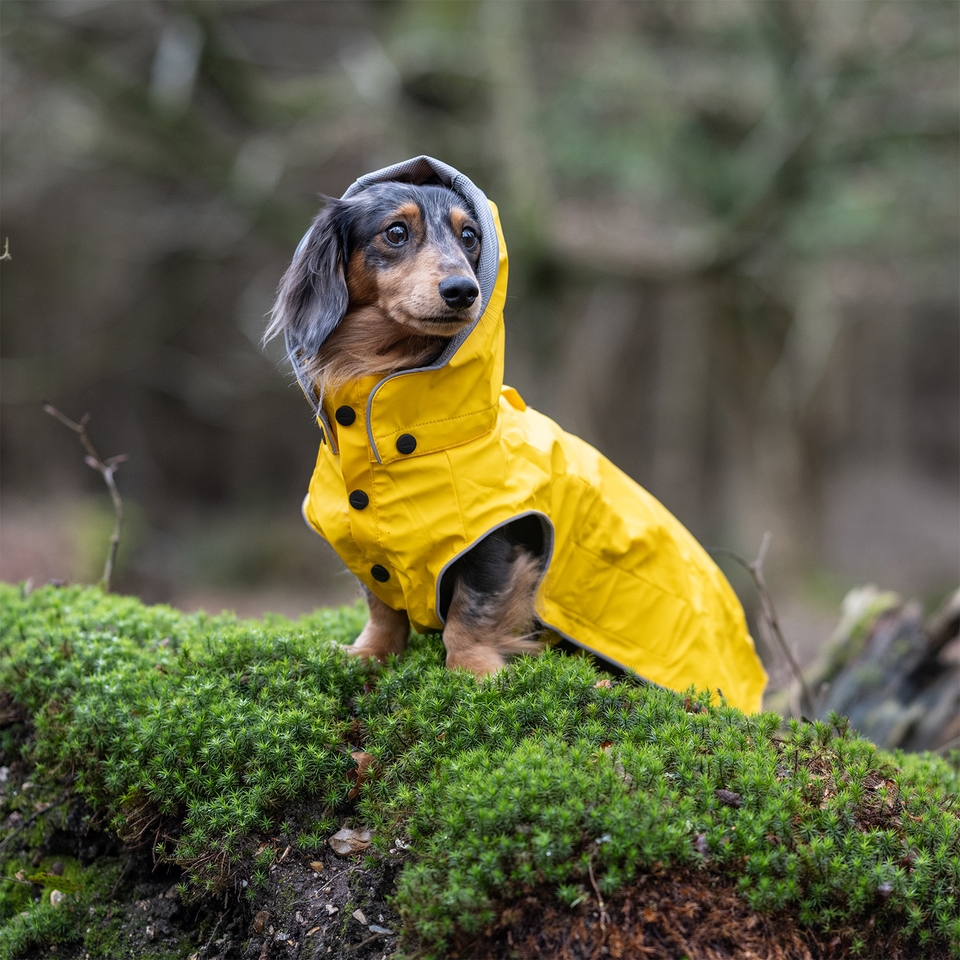 Stream Raincoat - Yellow