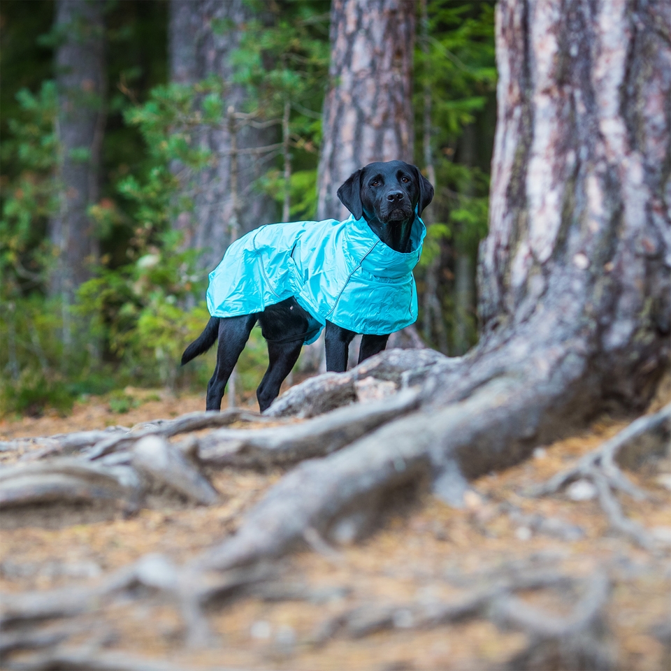 Hase Raincoat - Turquoise