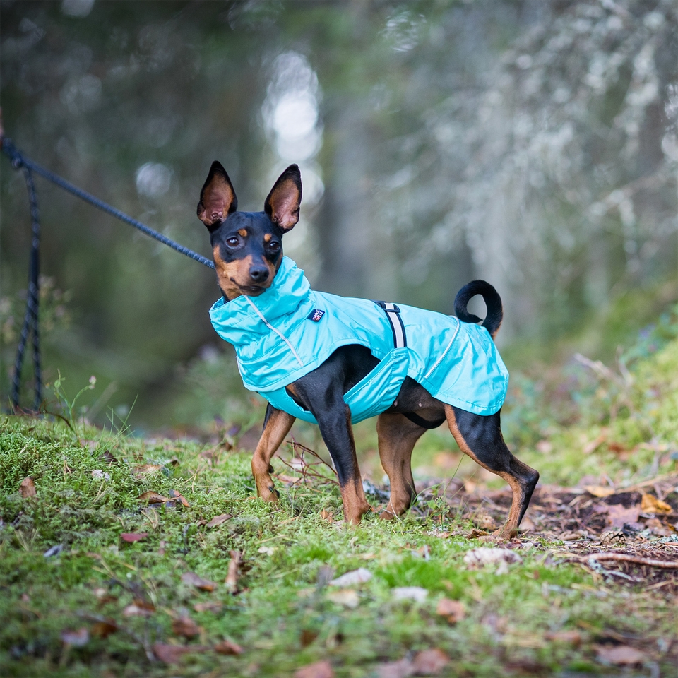 Hase Raincoat - Turquoise