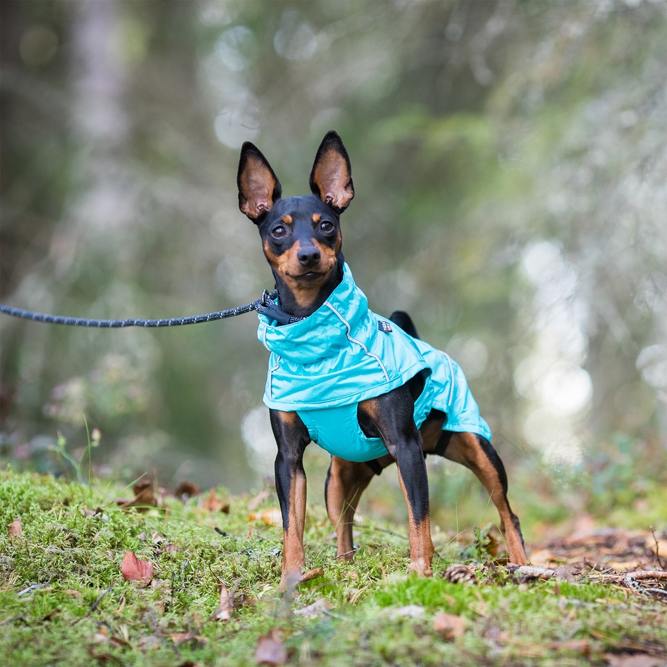 Hase Raincoat - Turquoise