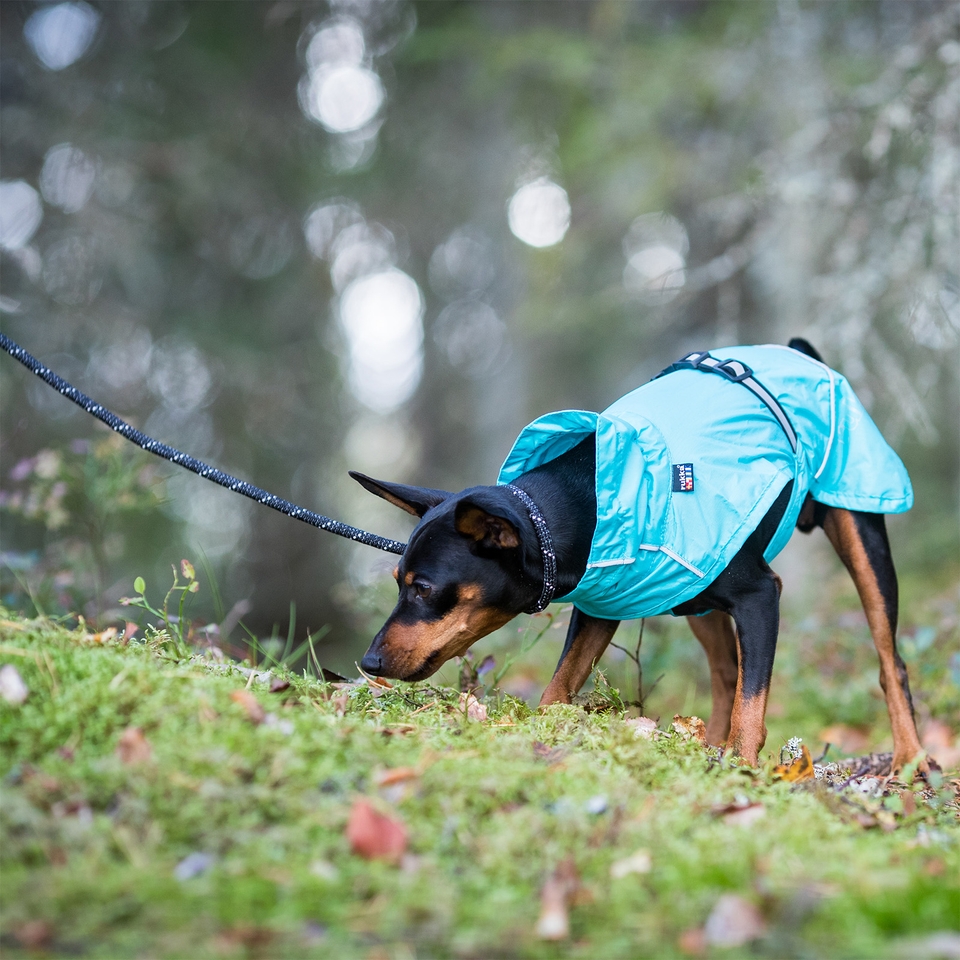 Hase Raincoat - Turquoise