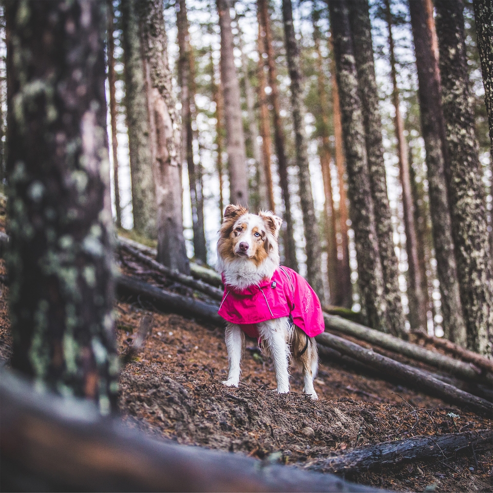Hase Raincoat - Raspberry
