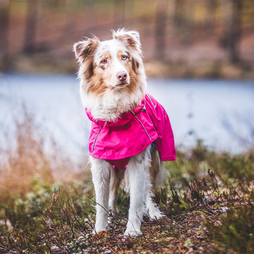 Hase Raincoat - Raspberry