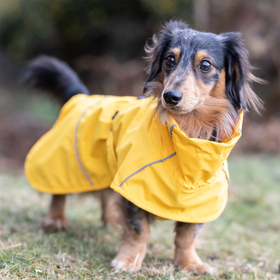 Hayton Eco Raincoat - Yellow