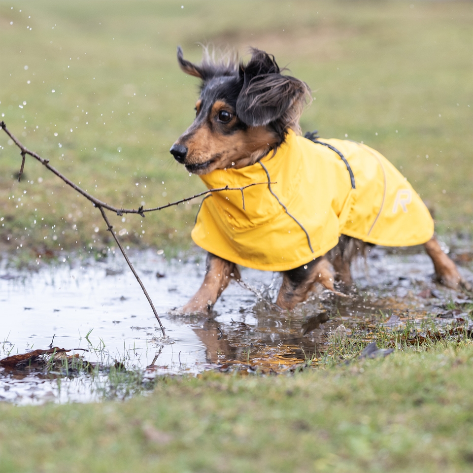 Hayton Eco Raincoat - Yellow