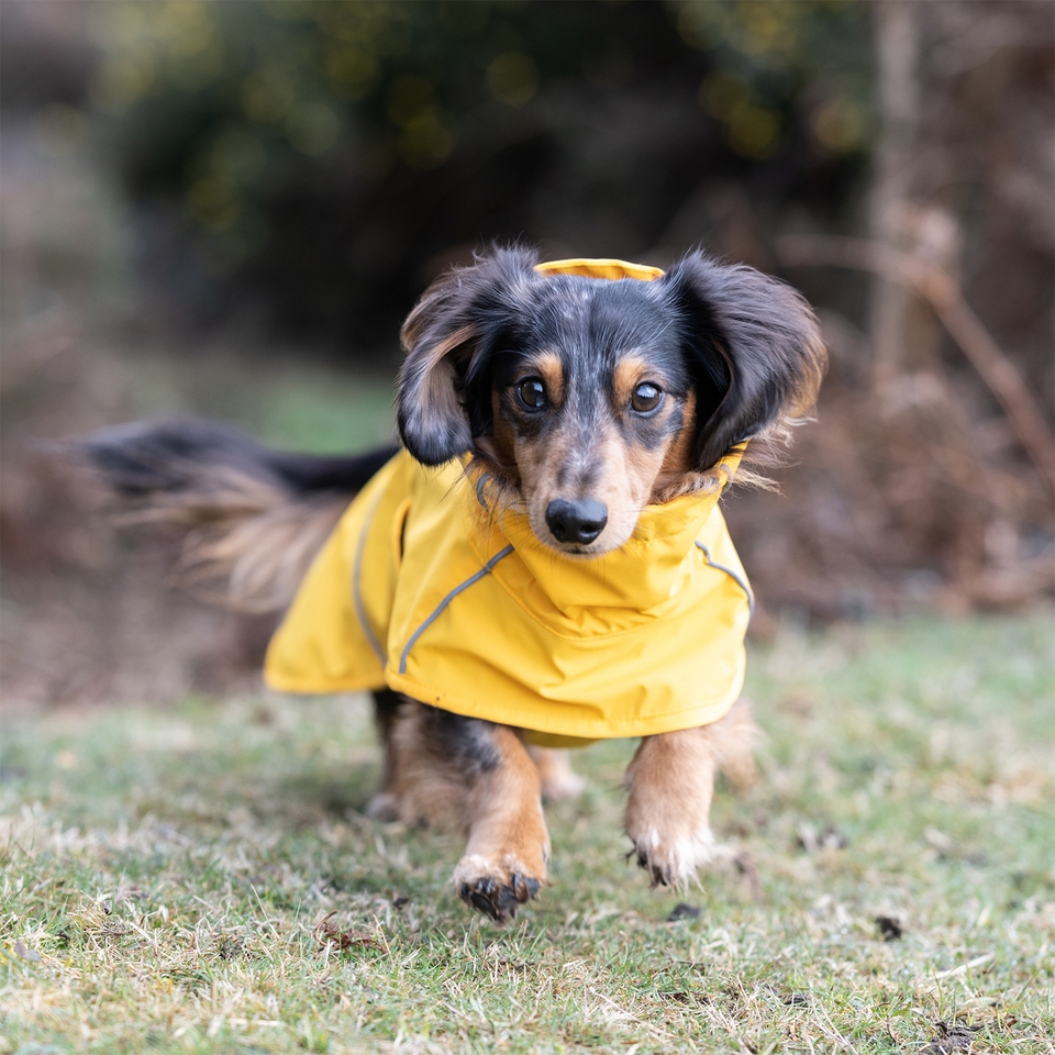 Hayton Eco Raincoat - Yellow