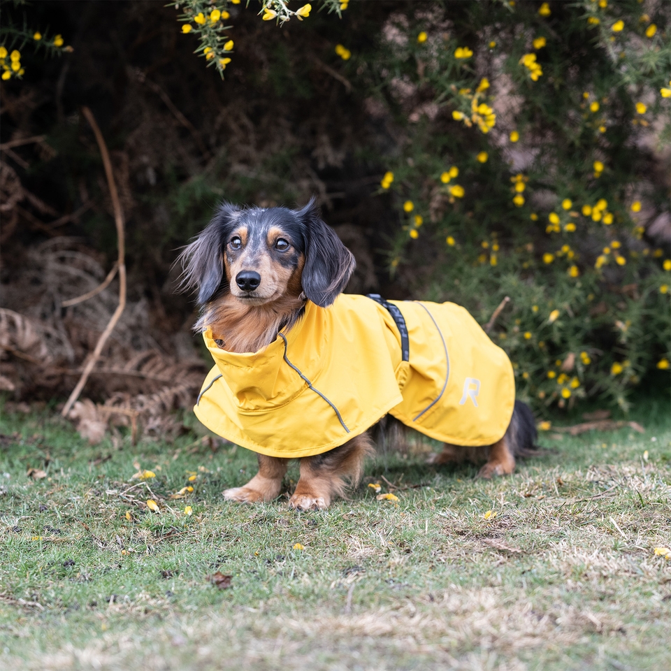 Hayton Eco Raincoat - Yellow