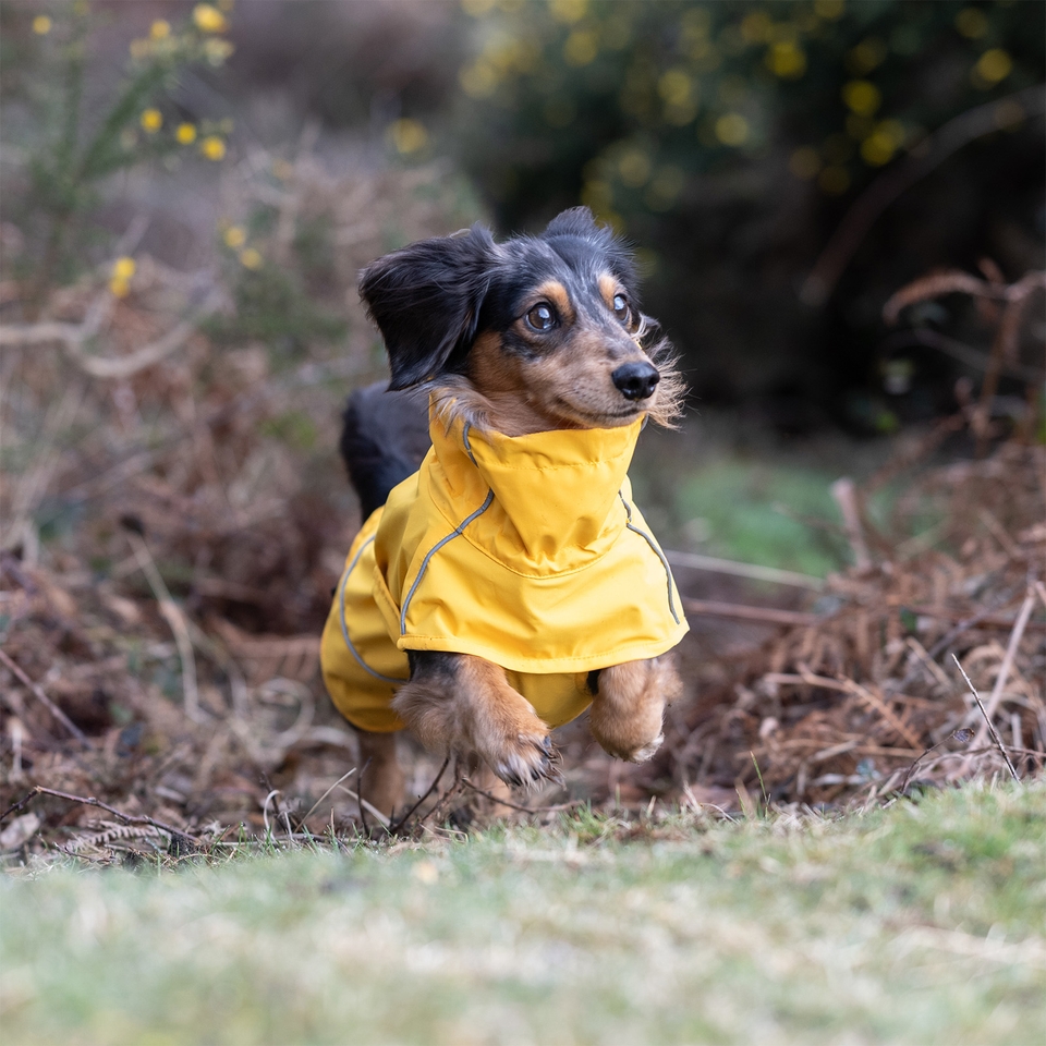Hayton Eco Raincoat - Yellow