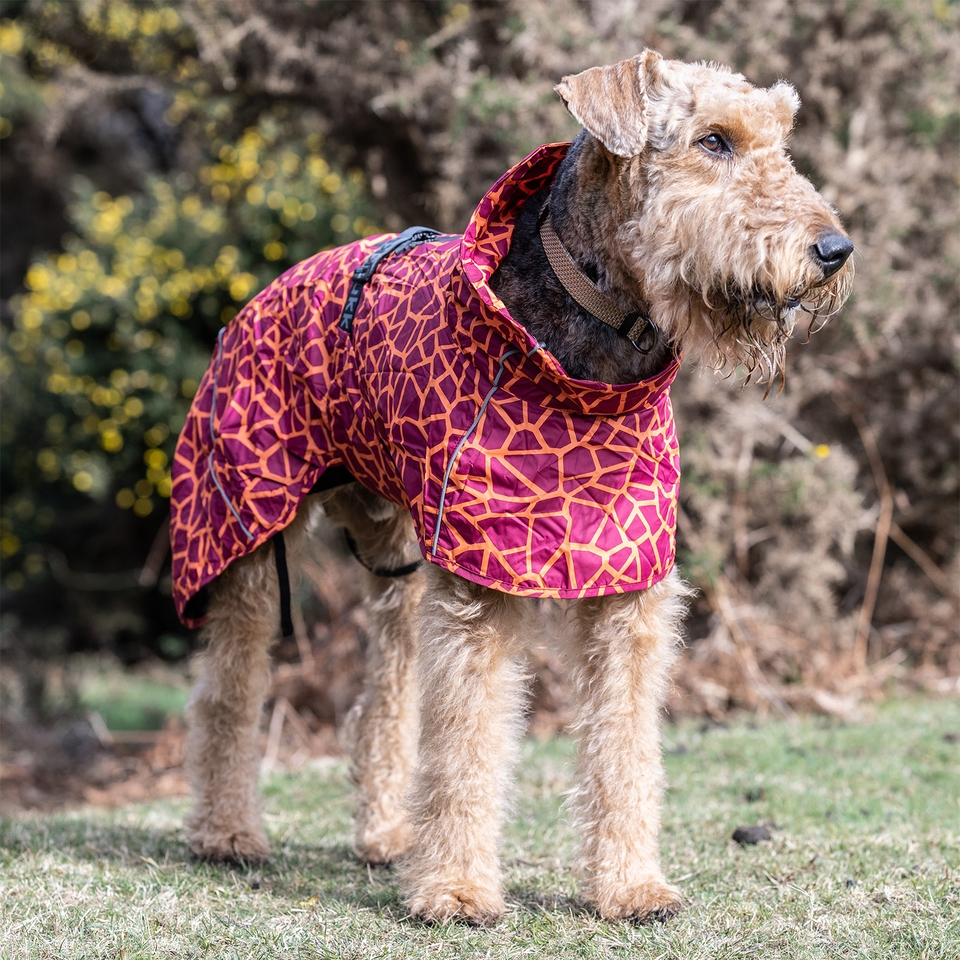 Warm raincoat 2025