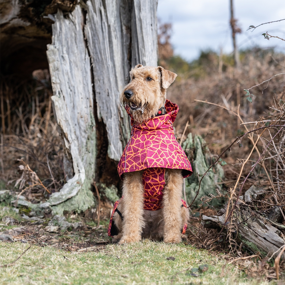 Hayton Warm Raincoat - Carmine
