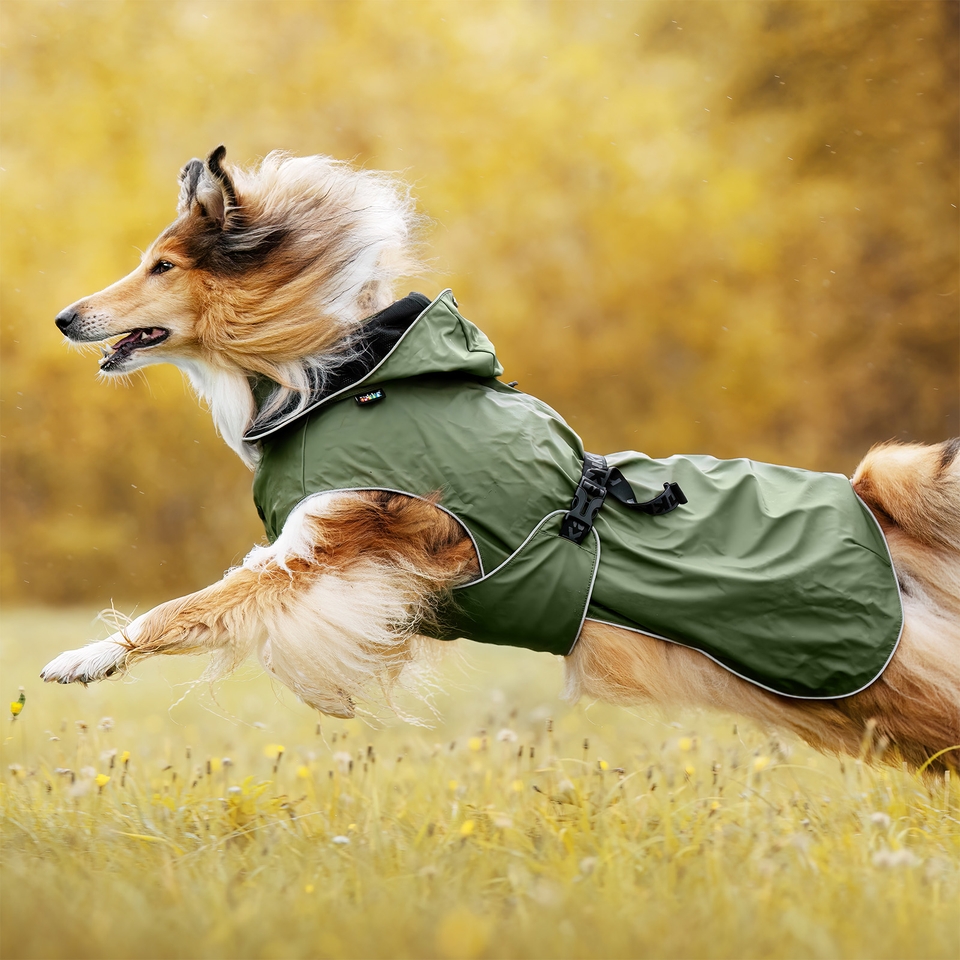 Streamy Eco Raincoat Dark Olive Rukka Pets US