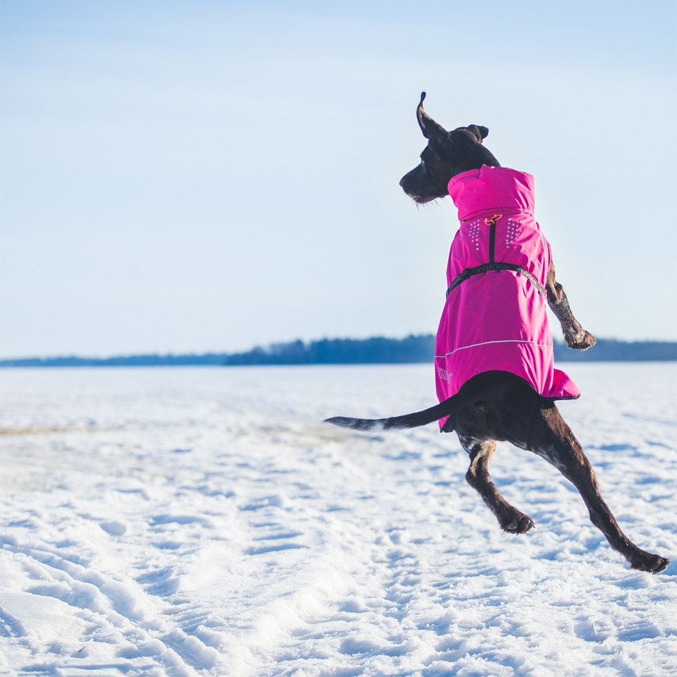 Warmup Coat Raspberry Rukka Pets US
