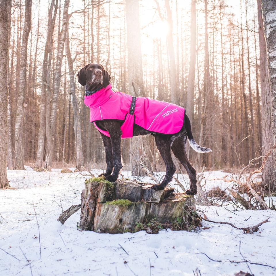 Warmup Coat - Raspberry