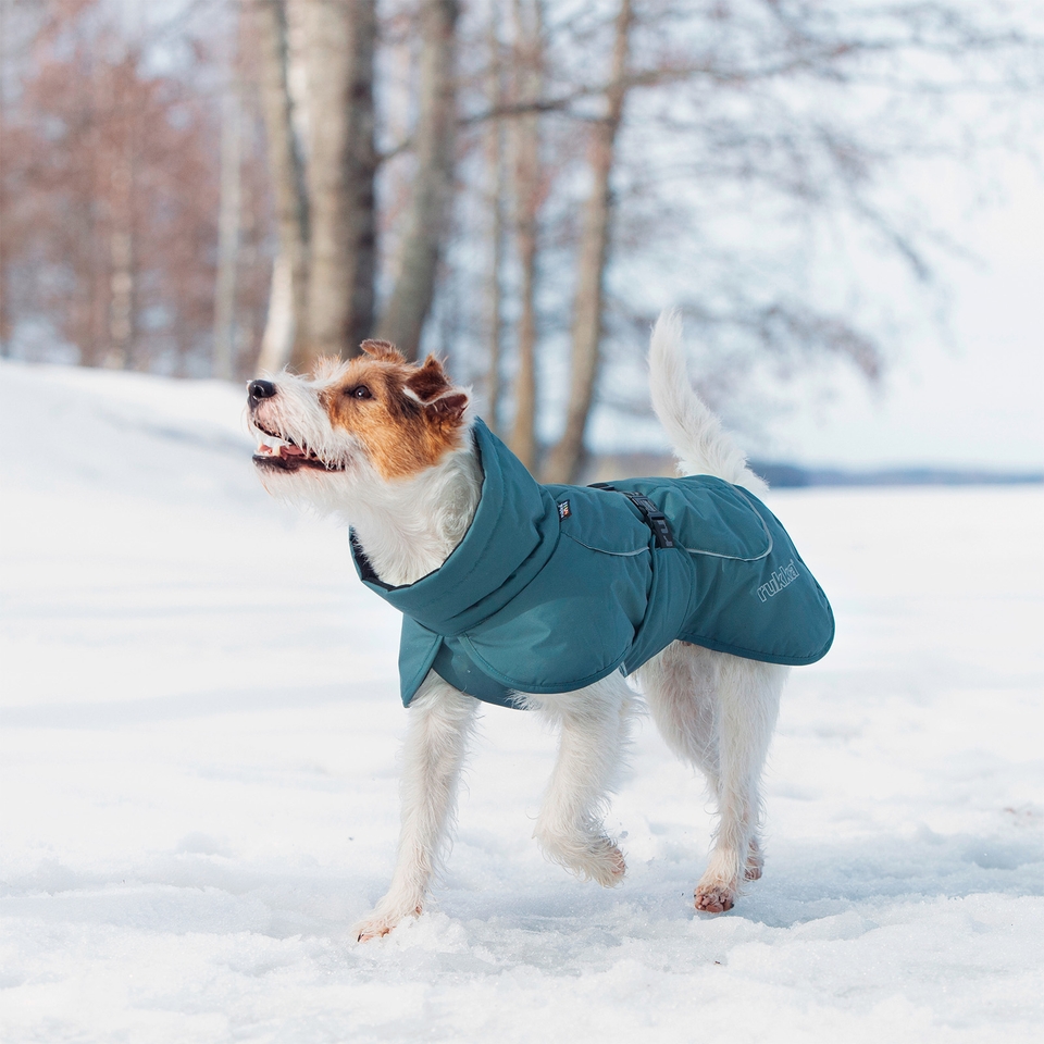 Stormy Coat - Olive