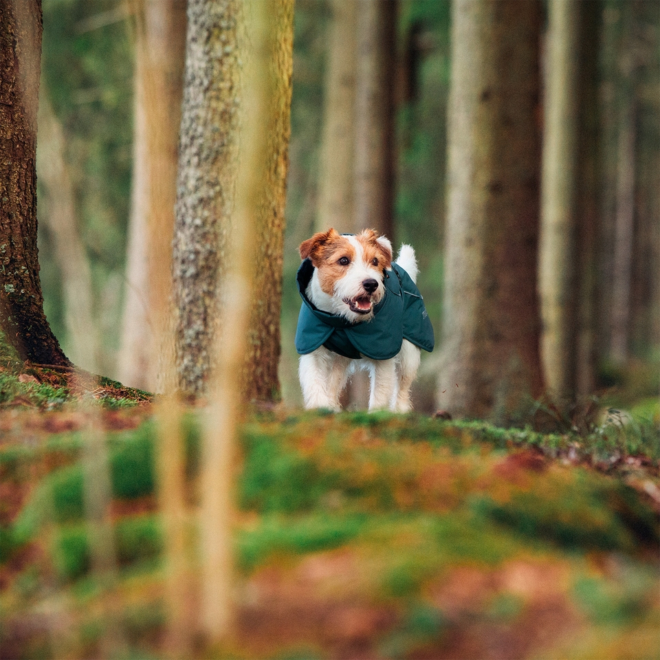 Stormy Coat - Olive