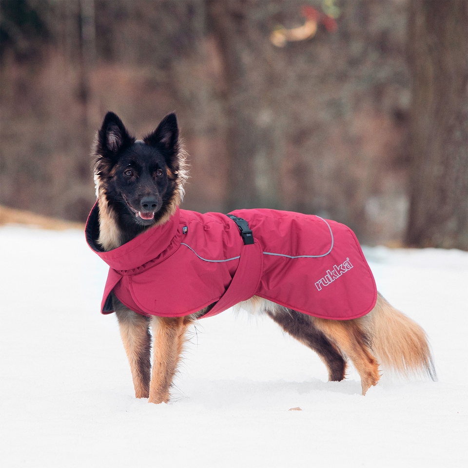 Stormy Coat - Burgundy