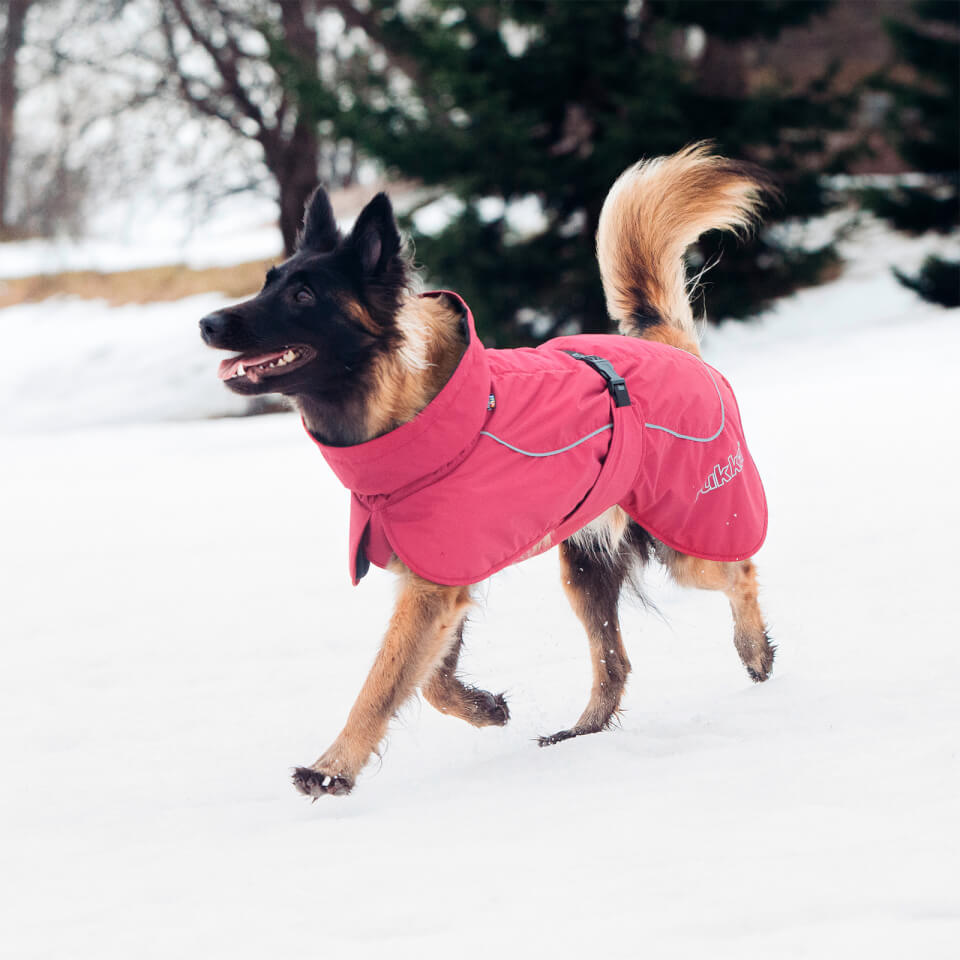 Stormy Coat - Burgundy