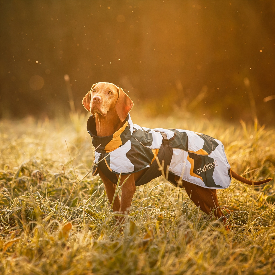 Rukka Pets Stormy Dog Coat Camo Antique Green 55