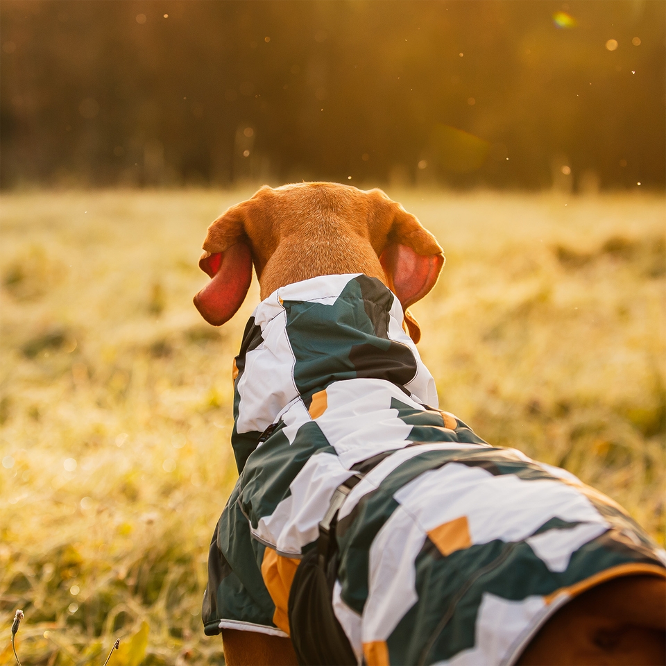 Stormy Coat Camo - Antique Green
