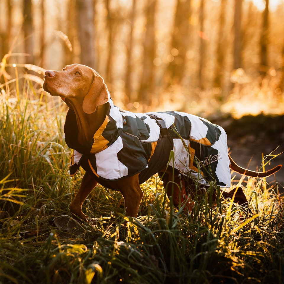 Stormy Coat Camo - Antique Green