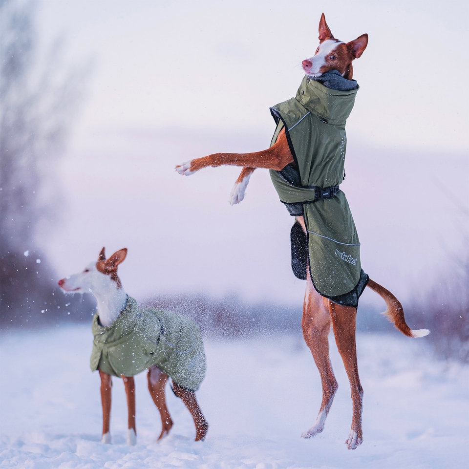 Warmup 2.0 Coat - Dark Olive