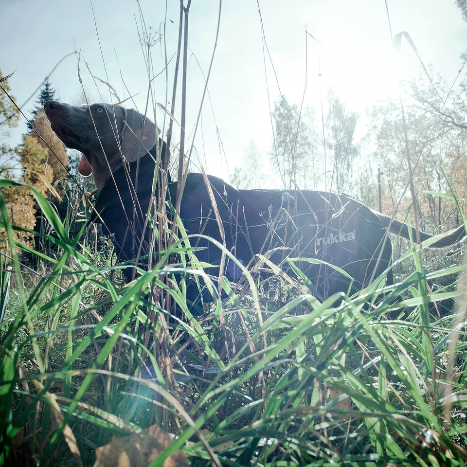 Protect Overall - Black