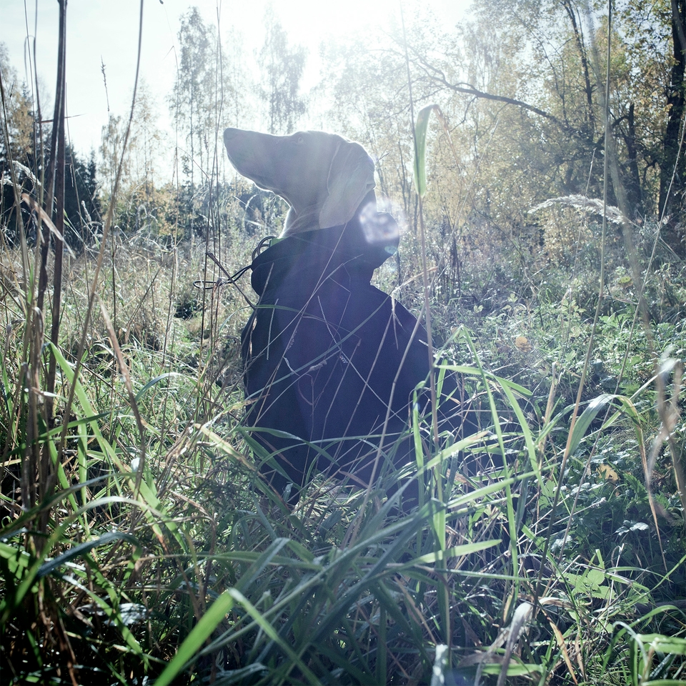 Protect Overall - Black