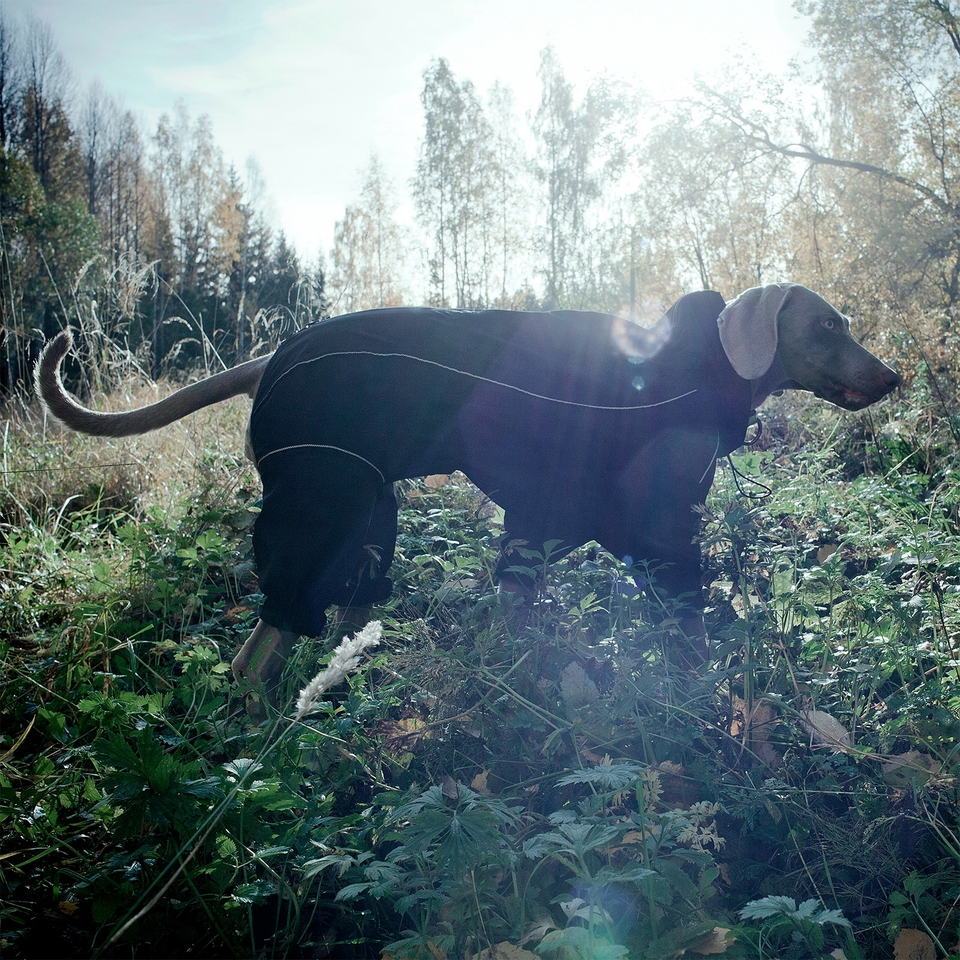Protect Overall - Black