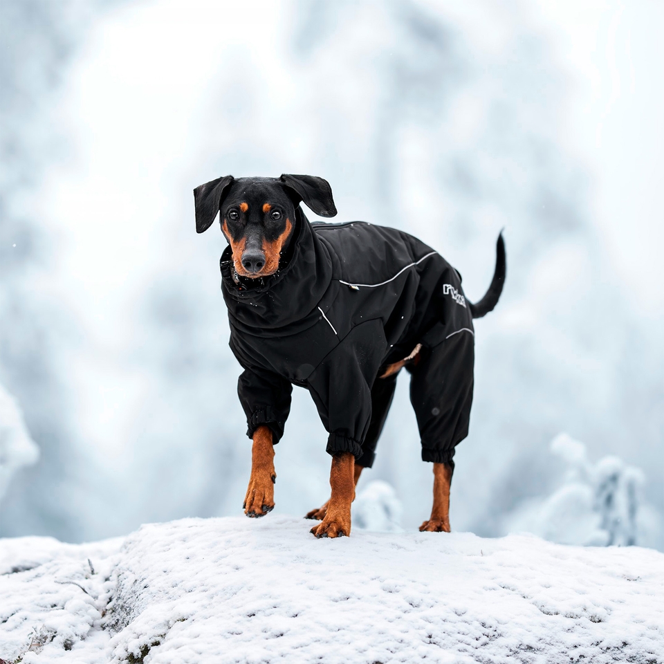 Thermal Overall Black Rukka Pets US