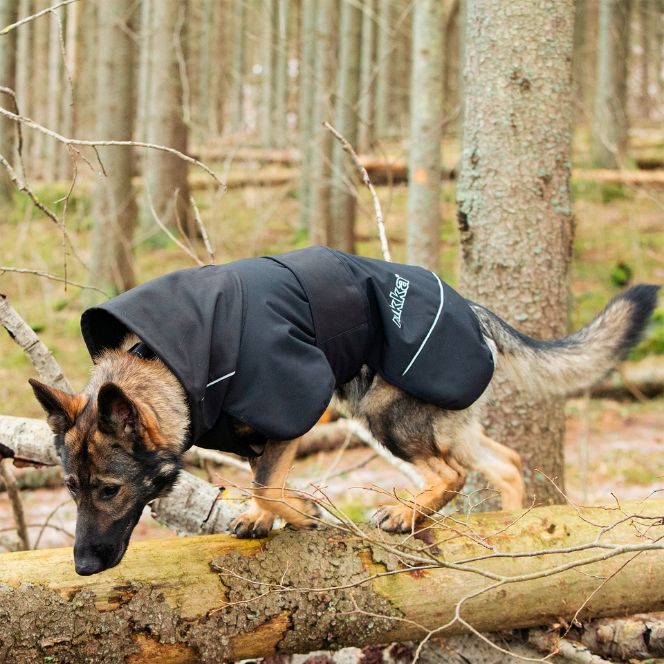 Windy Thermal Jacket - Black