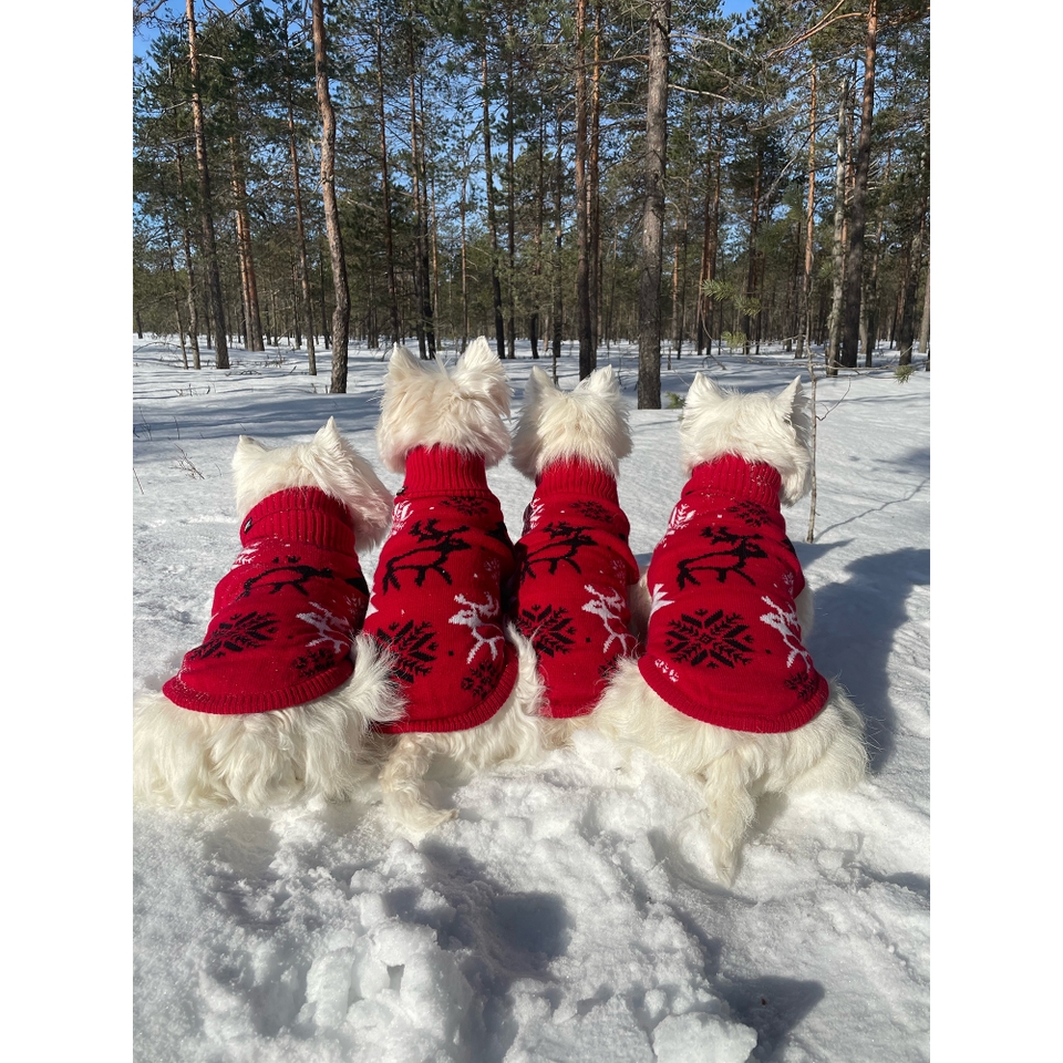 Merry Knitwear - Classic Red