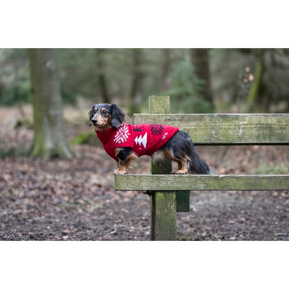 Merry Knitwear - Classic Red