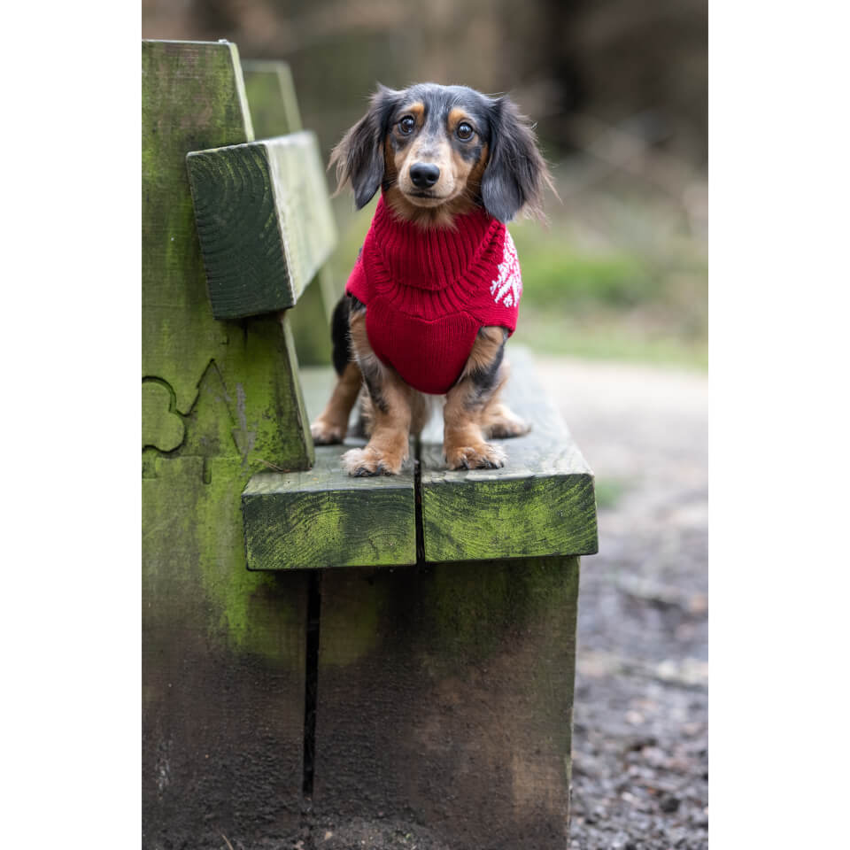Merry Knitwear - Classic Red