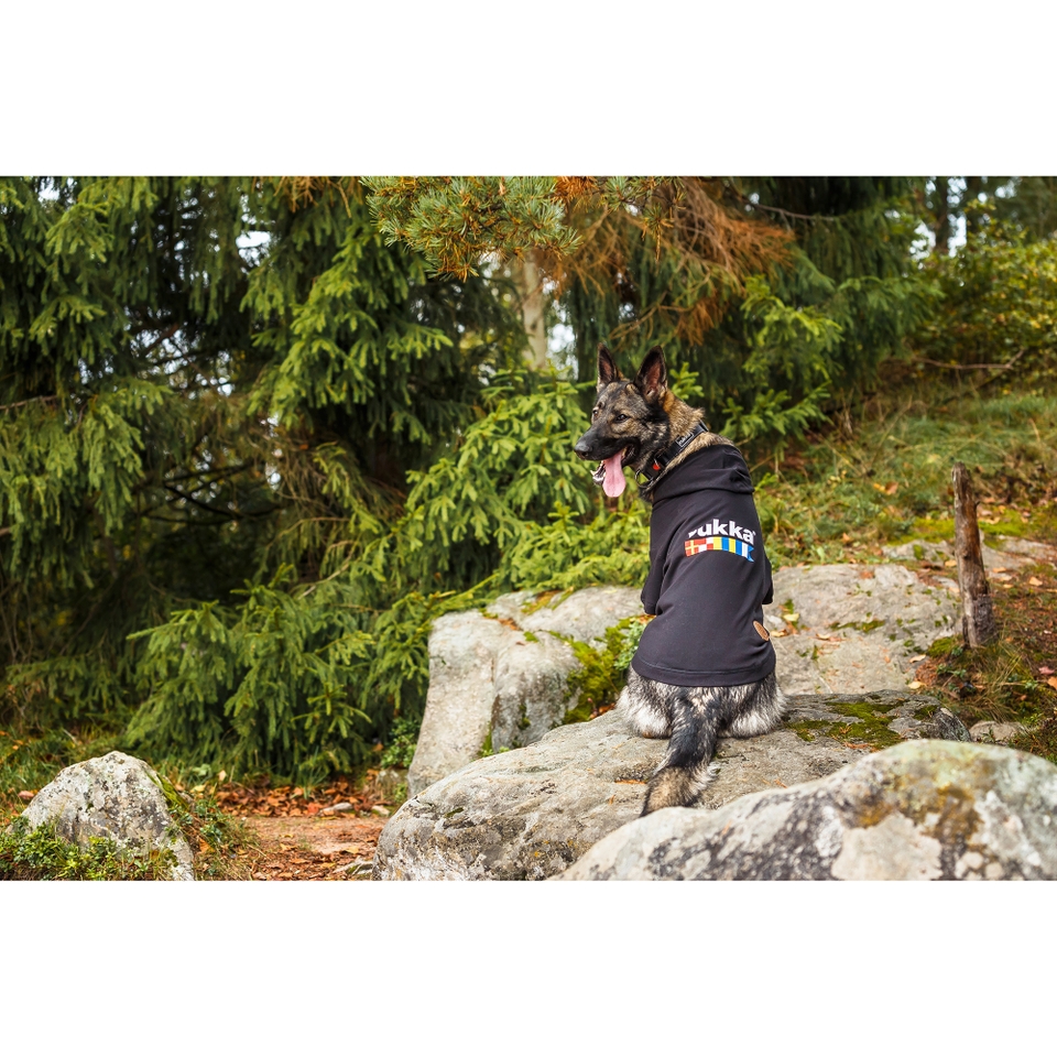 Sierra Sweater - Black