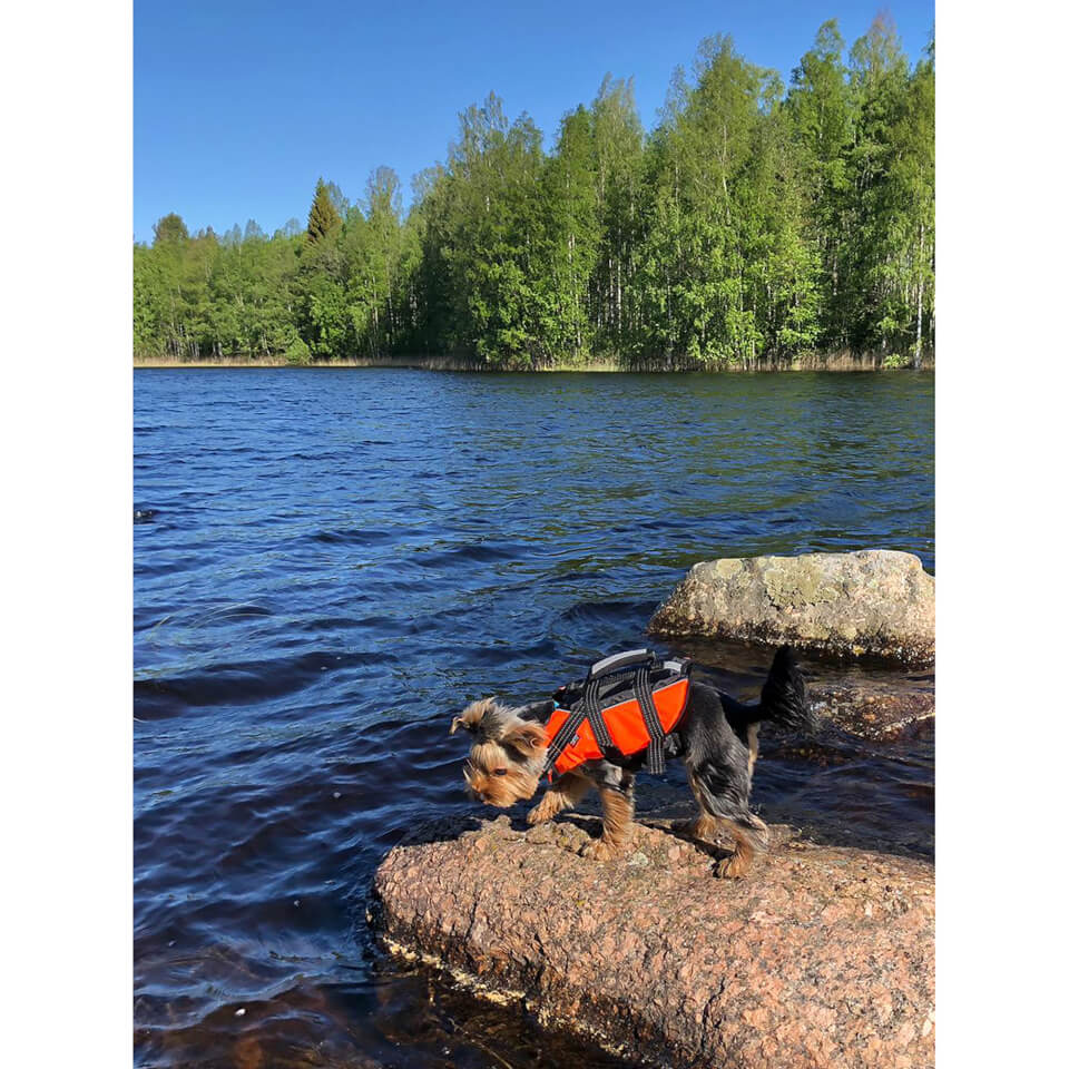 Safety Life Vest - Orange